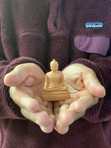 Travel with Buddha