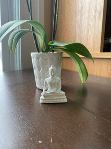 Travel with Buddha