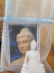 Travel with Buddha