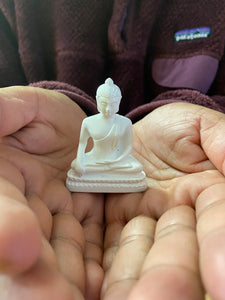 Travel with Buddha